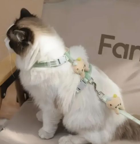 Green Plaid Bunny Cute Cat Harness &amp; Leash Set