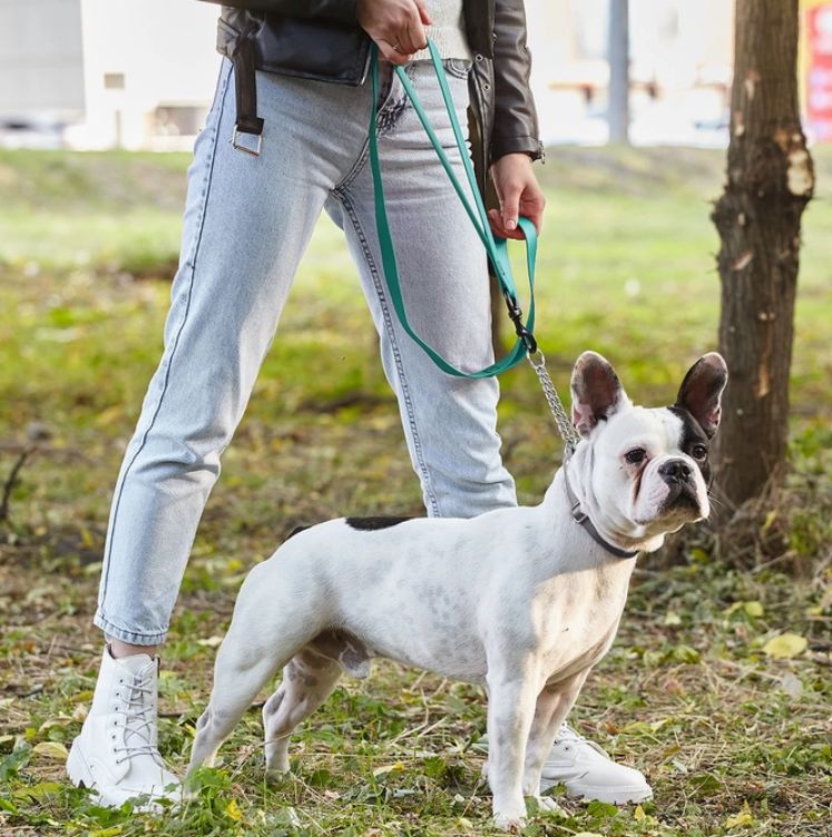 Biothane Waterproof Multi-Handle Leash, 4ft
