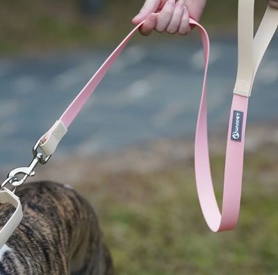 Two-Toned Leash, Durable Waterproof PVC, 4ft