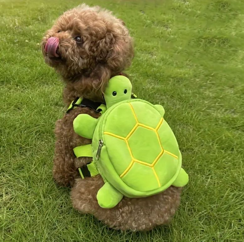 Turtle Plush Mini Backpack for Dogs, Green, One Size