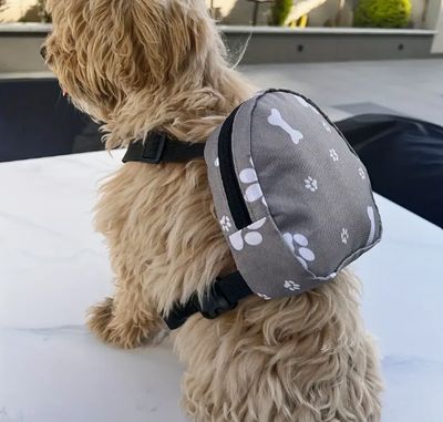 Paws &amp; Bones Mini Backpack for Dogs