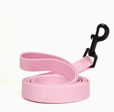 Furbaby Pets Leash, Durable Waterproof PVC, 4ft