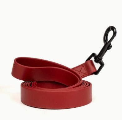 Furbaby Pets Leash, Durable Waterproof PVC, 4ft, Color: Brick Red 4ft