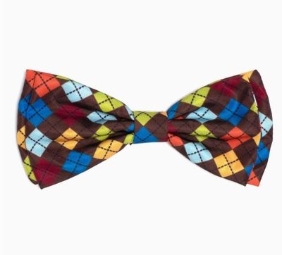 Autumn Argyle Bow Tie