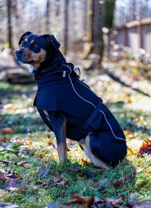 The Brize Dog Raincoat Black, Color: Black, Size: Small