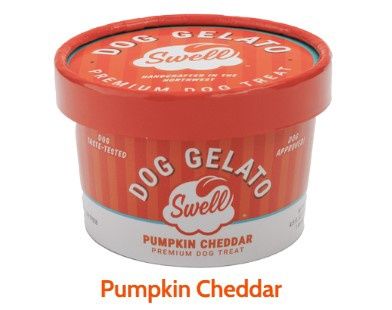 Swell Dog Gelato, Pet Safe Ice Cream, 4.5oz Cup, Flavor: Pumpkin Cheddar