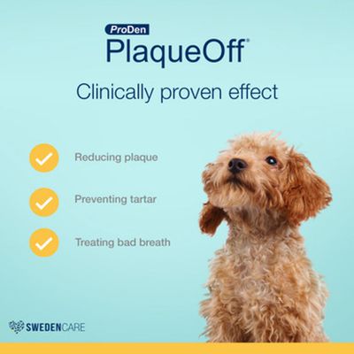 ProDen PlaqueOff Dental Powder for Dogs