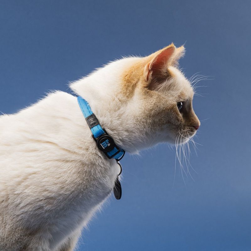 Memopet NFC Microchip Collar Collection for Cats