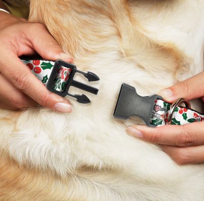 Buckle Down HOLLY & MISTLETOE Holiday Dog Plastic Buckle Collar