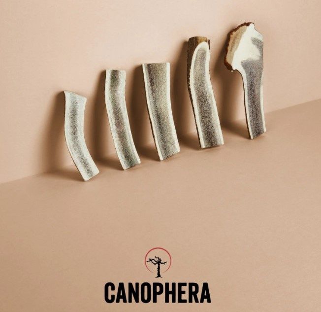 Canophera Red Deer Antler Dog Chews, Split