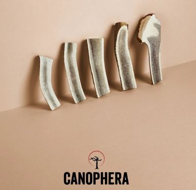 Canophera Red Deer Antler Dog Chews, Split