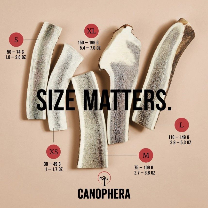 Canophera Red Deer Antler Dog Chews, Split, Size: XS
