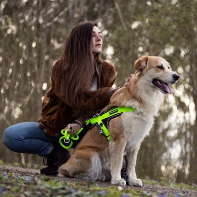 Memopet NFC Microchip Y Harness Collection for Dogs