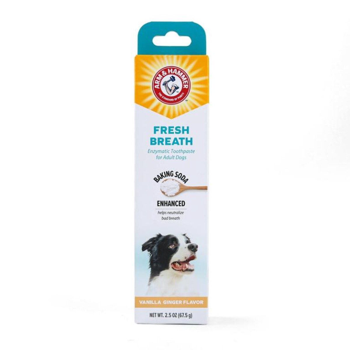 Arm &amp; Hammer Fresh Breath Enzymatic Toothpaste for Dogs, Vanilla Ginger Flavor