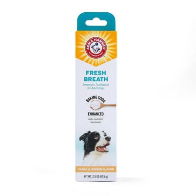 Arm &amp; Hammer Fresh Breath Enzymatic Toothpaste for Dogs, Vanilla Ginger Flavor