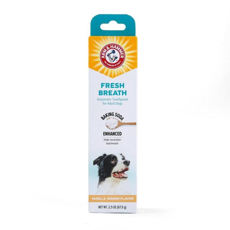 Arm &amp; Hammer Fresh Breath Enzymatic Toothpaste for Dogs, Vanilla Ginger Flavor