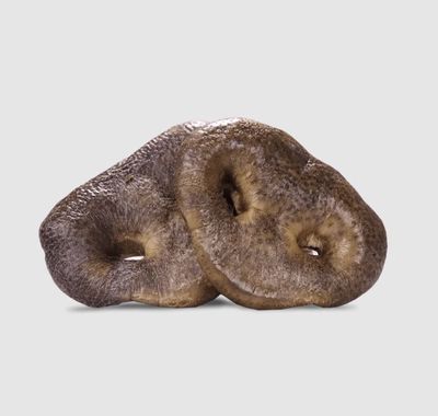Vital Essentials Pig Snout Freeze Dried Dog Treat