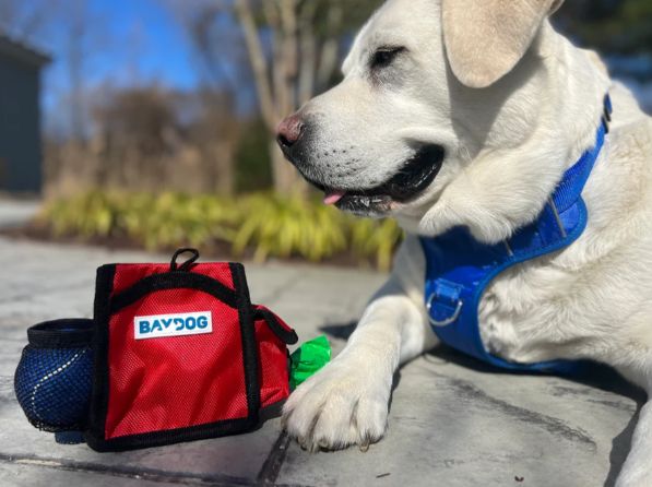 BayDog Pack N Go Bag, Leash Mount