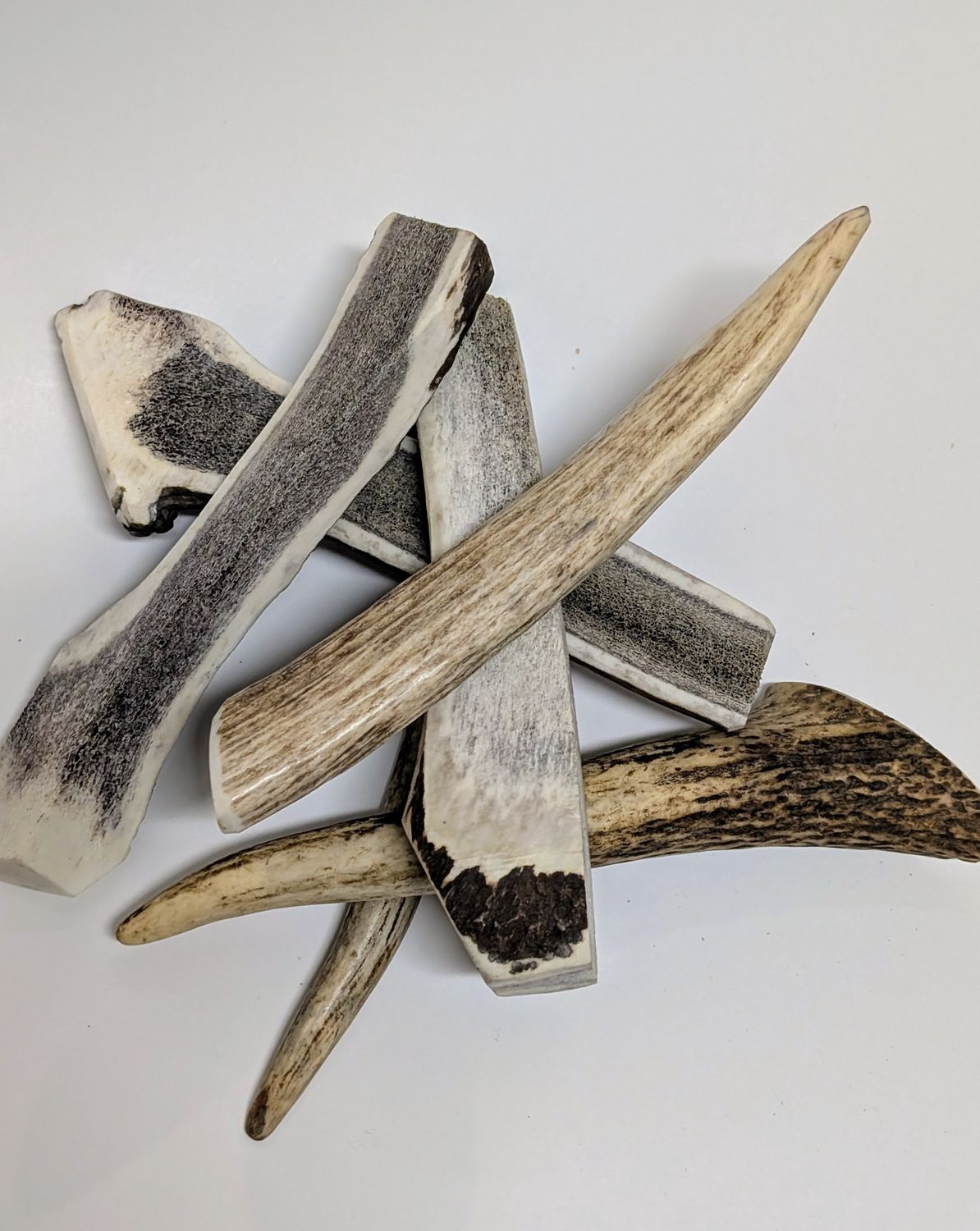 Stag Deer Antler Dog Chew, Whole or Split, Medium, Shape: 3 Split/3 Whole