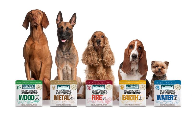 All Provide Dog Gently Cooked Constitution Diets 2lb Pouch