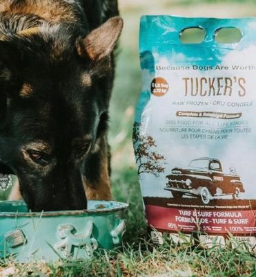 Tucker&#39;s Dog Raw Frozen Recipes