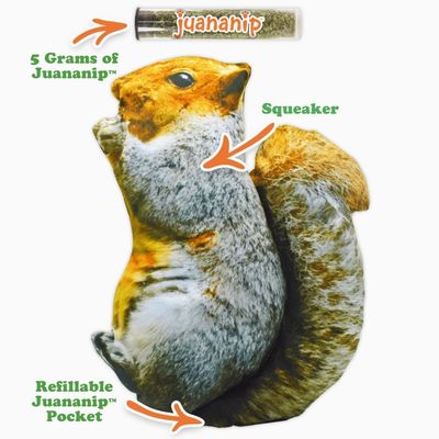 Doggijuana Get Outside Squirrel Refillable Dog Toy