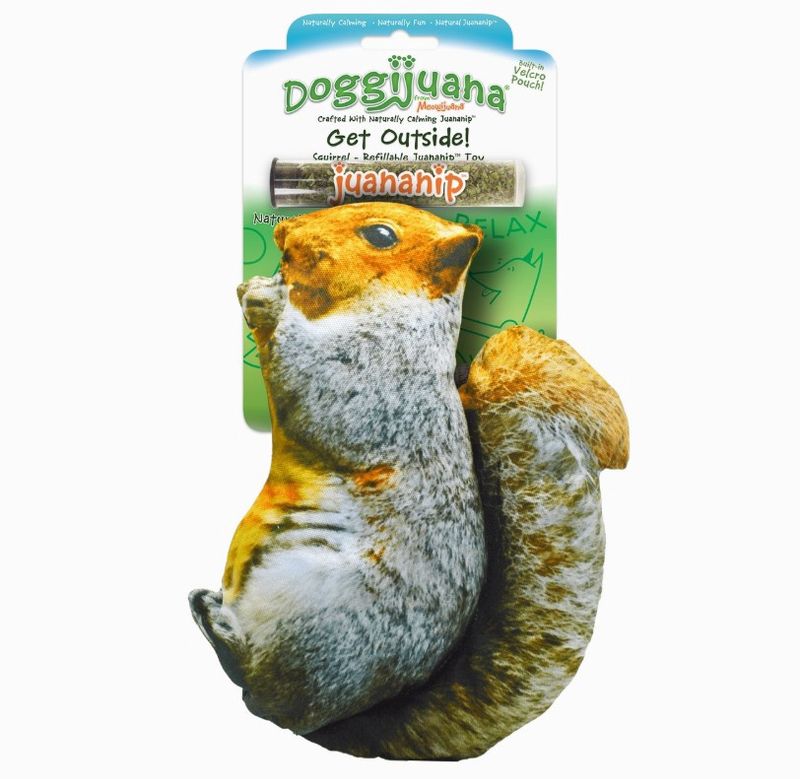 Doggijuana Get Outside Squirrel Refillable Dog Toy