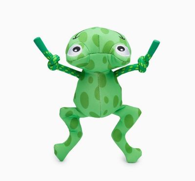 fabdog Floatie Frog Dog Toy