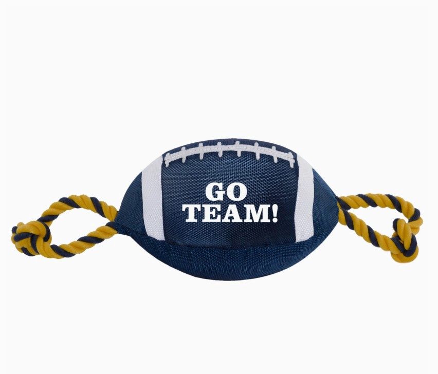 Pet&#39;s First Football Nylon Rope Plush Dog Toy, Blue/Gold