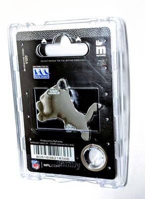 MyFamily Pet Id Tag Charm NFL Collection, Detroit Lions