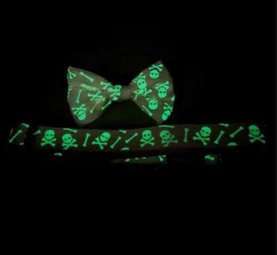 Joyride Pink Skulls Glow in the Dark Dog Collar + Bow Tie