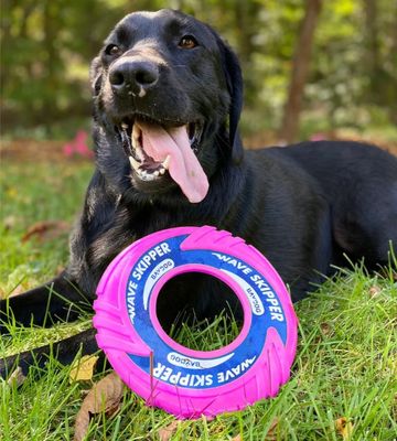 BayDog Wave Skipper Dog Frisbee Toy, Sunset Pink
