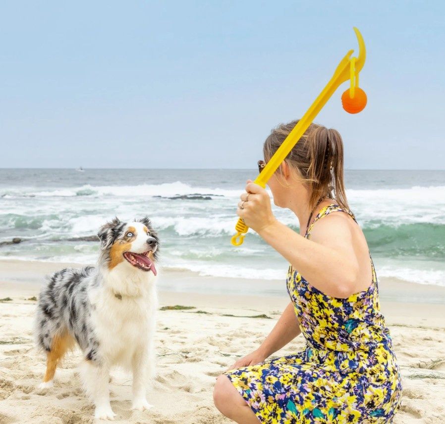 Project Hive Zoomer Dog Toy Launcher with Looped Ball