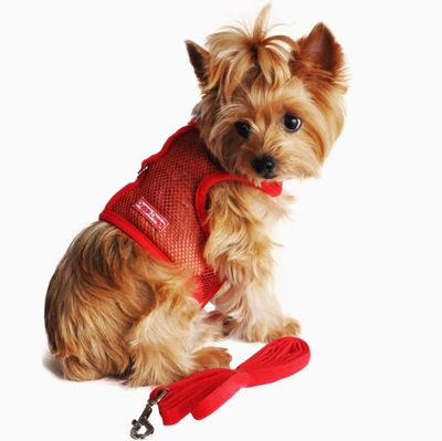 Doggie Design Cool Mesh Summer Dog Harness in Red with Matching Leash