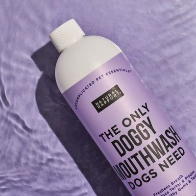 Natural Rapport The Only Doggie Mouthwash Dogs Need