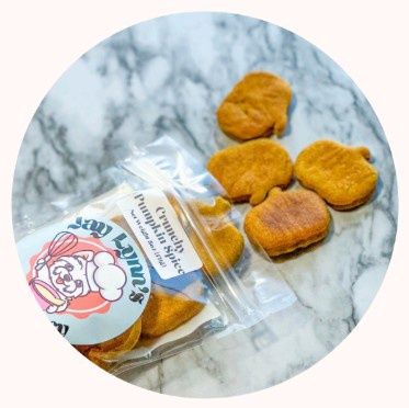 Jay Lynne's Crunchy Pumpkin Spice Dog Treats 5oz Bag