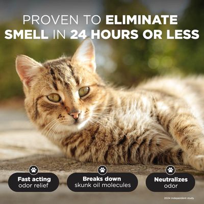 TropiClean Deodorizing Skunk Shampoo for Dogs, Extra Strength Skunk Odor Remover, 24 Hour Fast Relief 1 Gallon