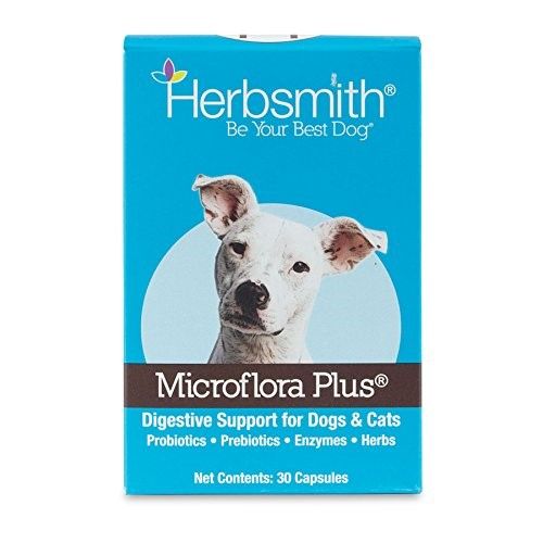 Herbsmith MICROFLORA PLUS Dog Digestion Aide, Probiotics, Prebiotics  and Digestive Enzymes for Dogs, 30 Capsules