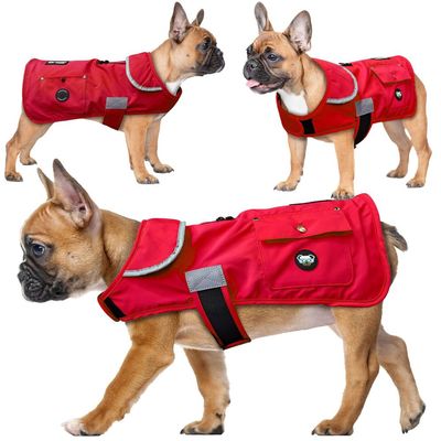 Joyride Frostflex Winter Dog Jacket