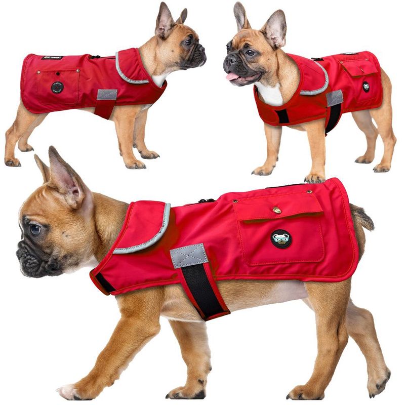 Joyride Frostflex Winter Dog Jacket
