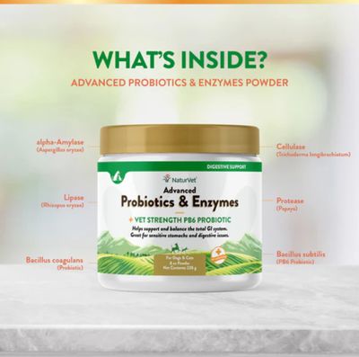 NaturVet Advanced Probiotics &amp; Enzymes - Plus Vet Strength PB6 Probiotic - Supports and Balances Pets with Sensitive Stomachs &amp; Digestive Issues for Dogs &amp; Cats, 4oz or 8oz Powder
