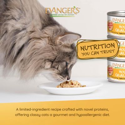 Evanger's Cat Holistic Quail Dinner Wet Food 5.5oz Can