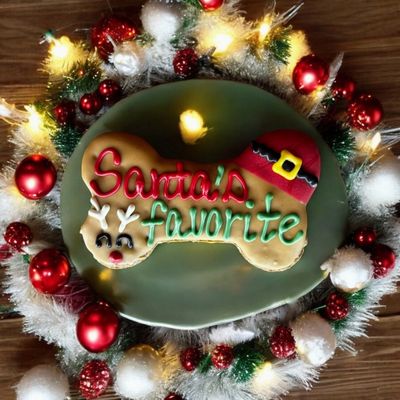 Santas Favorite Dog Cookie Treat