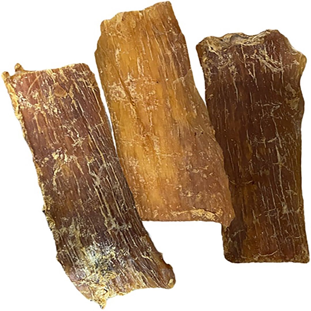 Great Lakes 6in Beef Backstrap Dog Chew