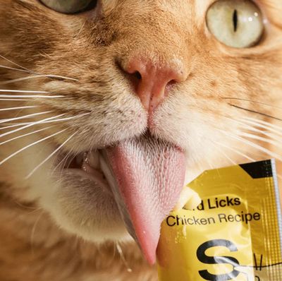 Smalls Chicken Bird Licks Cat Treats, Box of 8