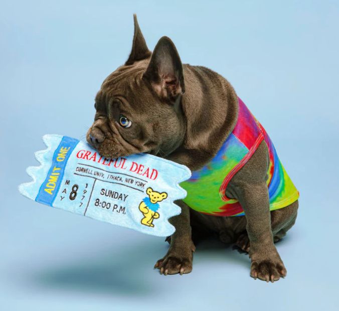 fabdog Grateful Dead Cornell 77' Concert Ticket Toy