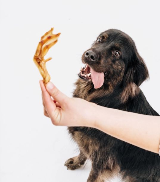 Duck Feet, Dehydrated Dog Treat, Quantity: (1) Each