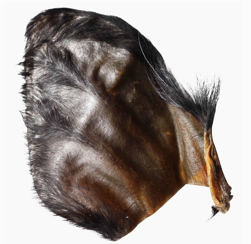 Water Buffalo Hearz Dog Chew