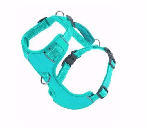 BayDog Chesapeake Bay Dog Harness, Color: Sea Foam, Size: Small