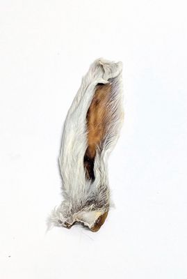 Hare-y Rabbit Ears Chew Treat for Dogs &amp; Cats